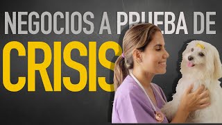 25 Ideas de Negocios Resistentes a la Crisis Económica - 2020 (Cesar Dabian)