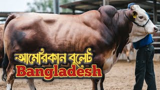 আমেরিকান বুলেট এখন বাংলাদেশের খামার ?