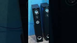 Zebronic 9500 bass test tower speaker #short#youtubeshorts#viralshots#shorts