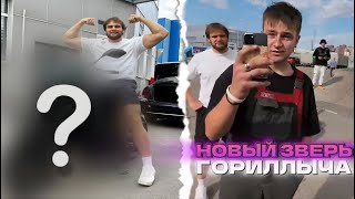 ХАЗЯЕВСКИЙ ПОДАРОК ГОРИЛЛЕ НА ДР|КОНФЛИКТ С БЫДЛО?!ИРЛ СТРИМ ПАРАДЕЕВИЧА ГОРИЛЛЫ,ЛЕШИ КОРЕША И ДР.