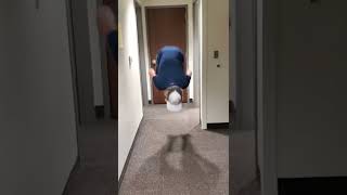 Daily backflip: in the dorms