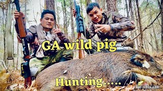 GA wild pig 🐗 Hunting 2023 // another big pig down // shot with Cz 512 22 Wmr