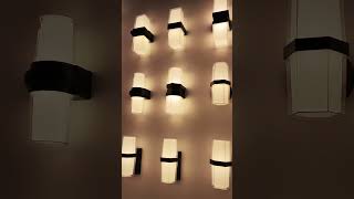 LEDER Lighting: Your Trusted Partner for Premium LED Outdoor Wall Lights from China #chinafactory