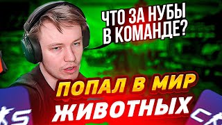 РАЧЕЛ ПОКАЗАЛ СВОЮ СОБАЧКУ | РАЧЕЛ ПОПАЛ В МИР ЖИВОТНЫХ В CS2 #insilio #rachel #cs2