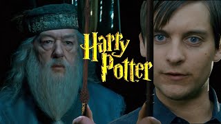 Bully Maguire Vs Dumbledore