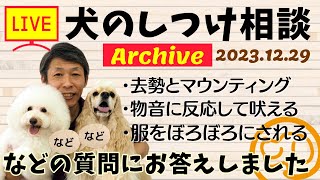 犬のしつけ相談ライブ☆ゲリラライブ 【アーカイブ 2023/12/29】