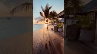 Maldives #shorts #short #travel #nature #luxury #hotel #reels #tiktok #island #maldives