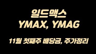 미국주배당ETF 일드맥스 YMAX, YMAG 11월 첫째주 주가/배당금/배당일 정리