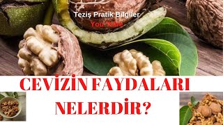 CEVİZ İN  FAYDALARI NELERDİR?✅ ✅cevi̇z i̇n✅ faydalari✅ nelerdi̇r?✅