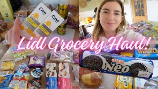 LIDL GROCERY HAUL