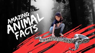 Amazing facts about Animals by Shara