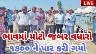 kapas na bhav | 24-10-2024 | કપાસના ભાવ:2024 | Information about cotton crop price | Commodity Trend