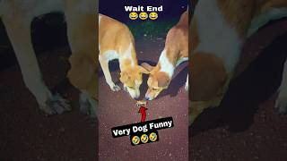 Comedy Video 🤣| Funny Video |#videoscomedy #funnyshorts #comedyshorts #shortvideos #trending #viral