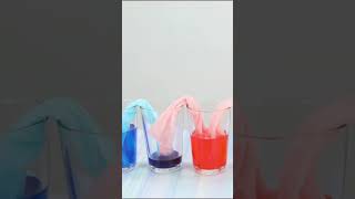 Walking Rainbow Experiment #shorts #teacherresources #teachingresources #scienceexperiment #rainbow