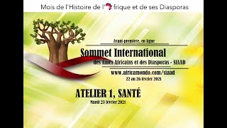 Sommet des Ainés Africains et des Diasporas, Atelier Santé