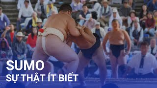 Sự Thật Ít Biết Về Sumo Nhật Bản