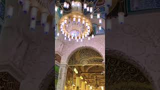 Ziyarat of Rawda Rasool SAW #ytshort #madina #saudiarabia #masjidnabawi