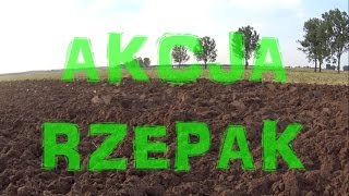 Akcja Rzepak 2015