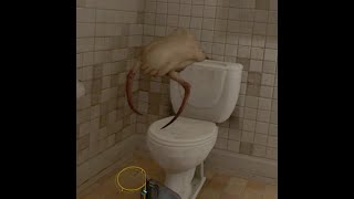 zombie flushes toilet water