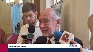 Senador Flores por urgencia en Reforma de pensiones: "No hay más tiempo".