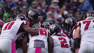 Why Quinn is Excited about these falcons