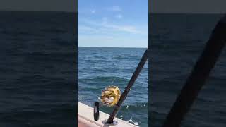 NJ wreck fishing