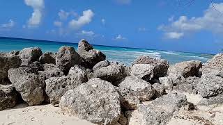 Barbados Dover Beach  Near DIVI SOUTHWINDS BEACH RESORT and PureOcean Restaurant