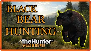 Hunting The Great One Black Bear pt 1 Call of The Wild