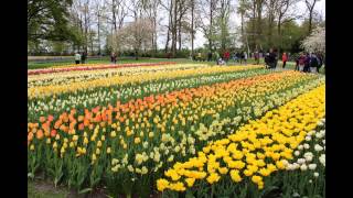 Keukenhof (Lisse, Holland 2014) - Diashow / Slide Show