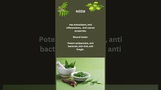 Neem