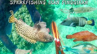 SPEARFISHING PINGGIRAN