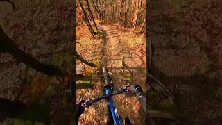 Speed control #mtb #mtblife #mtblove  #enduro #bike #fox #transitionbikes #sentinelV2 #insta360go3