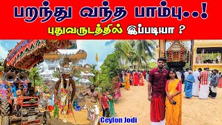 பறந்து வந்த பாம்புக் காவடிகள் | புதுவருடத்தில் இப்படியா | ceylon jodi danu and loji | Jaffna tamil