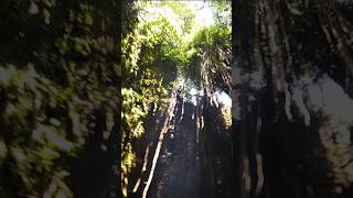 Inside #waterfall #wodospad #water #renew #village #healing #bali #travel #ritual #nature #indonesia