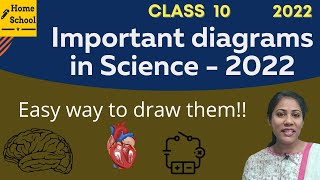 How to draw Diagrams Easily | Class 10 Science | SSLC Exam 2022