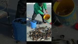 Ice river fishing. #reels #shortsvideo #fishingvideosonyoutube #shortfashingvideo#fishingyoutube