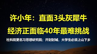 许小年：直面3头灰犀牛，中国经济正面临40年以来最难挑战。社科院更名习思想研究院，是高级黑吗？开封被封城，大学生必须上山下乡。