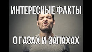 Полезные и интересные факты о запахах и газах, озон, гексафторид серы, фосген, сероводород