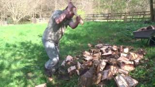 Gathering firewood via the ALICE system