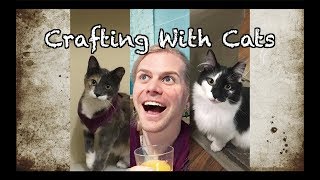 Cat Clothes!!! - Crafting With Cocktails (4.27)