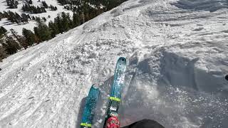 Alpine Meadows: Expert Short Cut 3/19/24