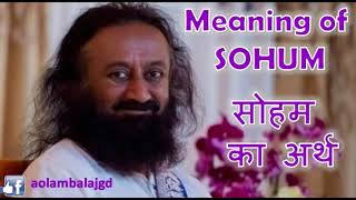 So Ham的意思 Meaning of SOHUM  Sri Sri Talks in Hindi