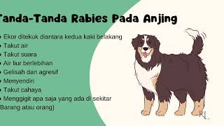 Penyakit Rabies (Anjing Gila)