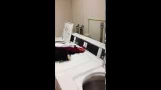 Carnival Sunshine- Self-Service Launderette