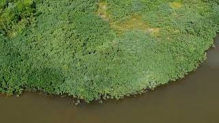 Moncton New Brunswick drone flight over irishtown nature park