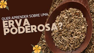 Quer aprender sobre uma erva poderosa?