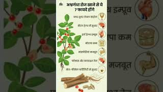 #ayurveda#ayurvedictips#yoga#health#benefitsofashwagandha#helthtips@sushmitasyogicclasses7769