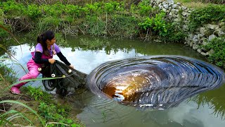 Beautiful woman goes to the ground to catch river clams, it's really a big deal