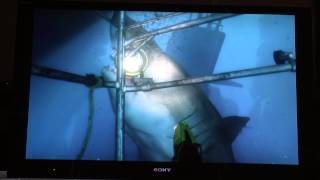 TGS 2014 Project Morpheus Shark Demo The Deep PS4