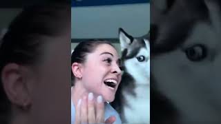 Pet Pranks #funnymoments #petpranks